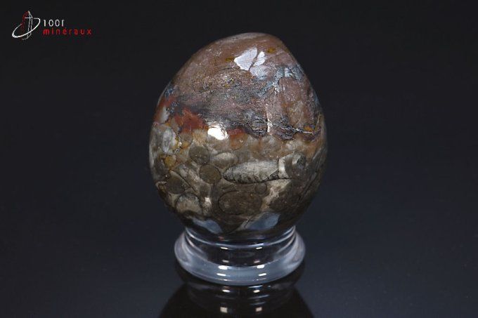 oeuf-marbre-fossile-mineraux