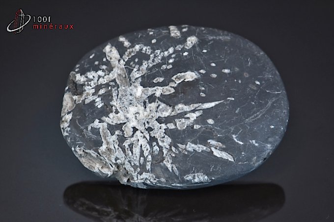 chrysanthem-stone-mineraux-cristaux