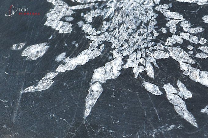 chrysanthem stone mineraux