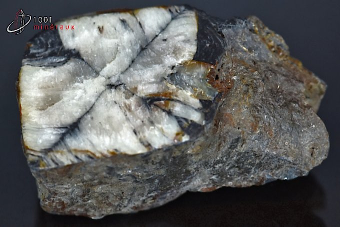 chiastolite-andalousite-mineraux-cristaux