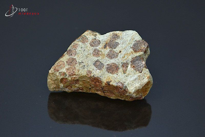Eclogite à grenats - France - minéraux bruts 3,3 cm / 24 g / AE425