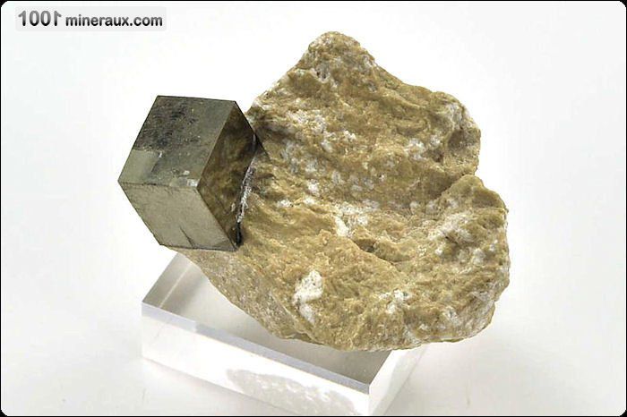 Pyrite cubes sur matrice - Espagne - Minéraux à cristaux 1,3 cm / 45g / AF28