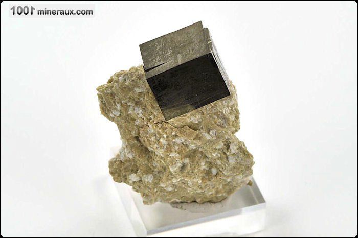 Pyrite cubes sur matrice - Espagne - Minéraux à cristaux 1.6 cm / 42g / AF37