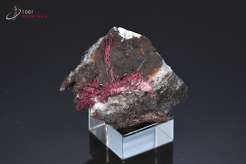 Erythrine - Maroc - minéraux à cristaux 3,3cm / 20g / AG259