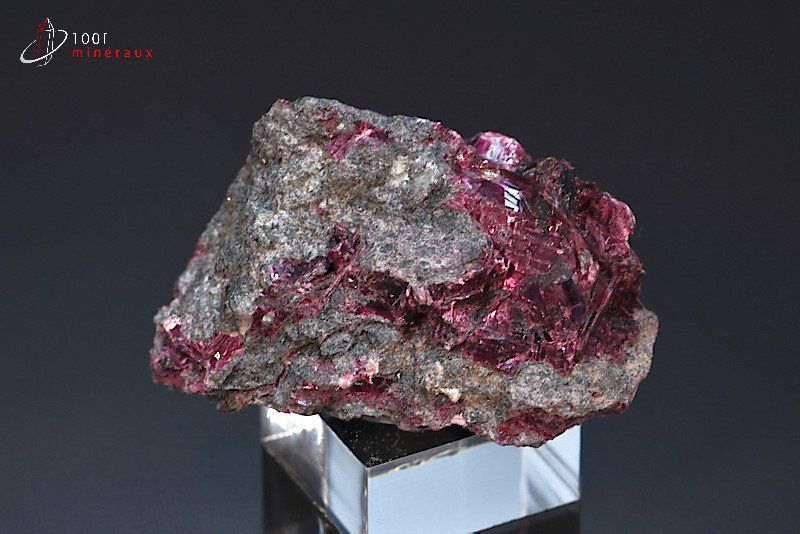 Erythrine - Maroc - minéraux à cristaux 3,7 cm / 18g / AG260-1