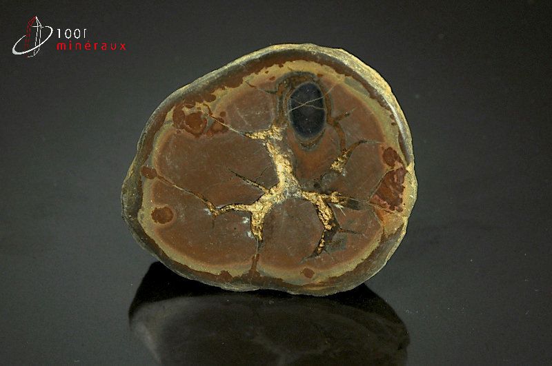 Septaria polie - Maroc - minéraux bruts 5,2 cm / 58 g / AJ229