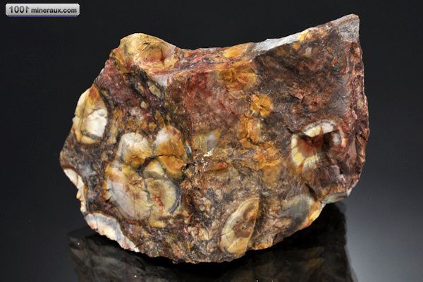 Jaspe à ocelles - Brésil - minéraux bruts 7 cm / 185g / AJ860