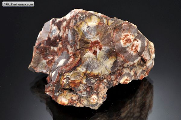 Jaspe à ocelles - Brésil - minéraux bruts 7,3 cm / 177g / AJ864