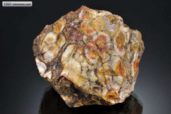 Jaspe à ocelles - Brésil - minéraux bruts 6,7 cm / 222g / AJ868