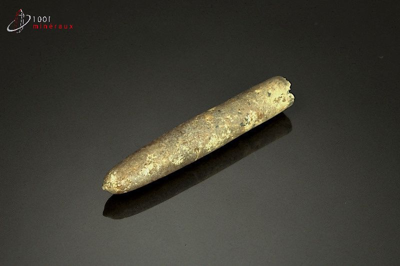 Rostre de Belemnite - France - Fossiles 5.8 cm / 9g / AK814