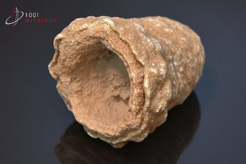 Stromatolite brut - Maroc - Fossiles 4.8 cm / 112g / AK985