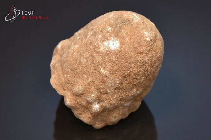stromatolite-fossile