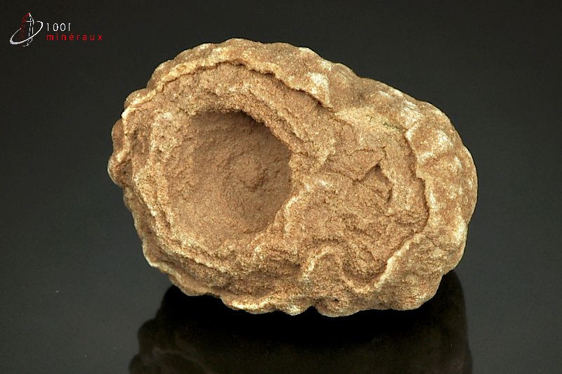 Stromatolite brut - Maroc - Fossiles 4,4 cm / 143g / AK995
