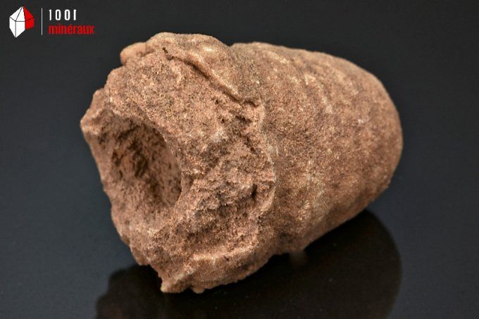 stromatolite_fossiles