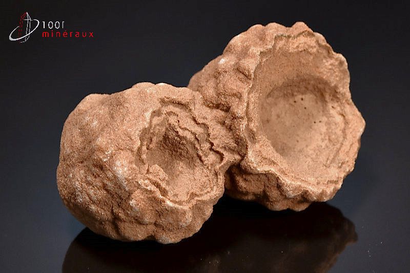 Stromatolite brut - Maroc - Fossiles 5,3 cm / 269g / AL10