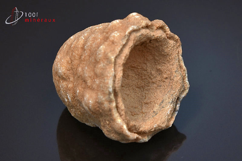 Stromatolite brut - Maroc - Fossiles 5,5 cm / 110 g / AL1