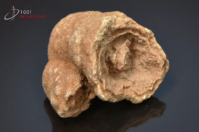 Stromatolite brut - Maroc - Fossiles 5,5 cm / 136 g / AL2