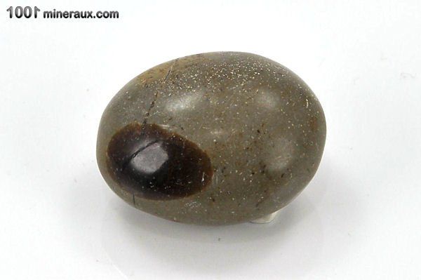 Septaria polie - Madagascar - pierres roulées 3 cm / 18g / AL392