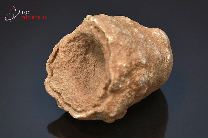 Stromatolite brut - Maroc - Fossiles 5,7 cm / 151 g / AL4