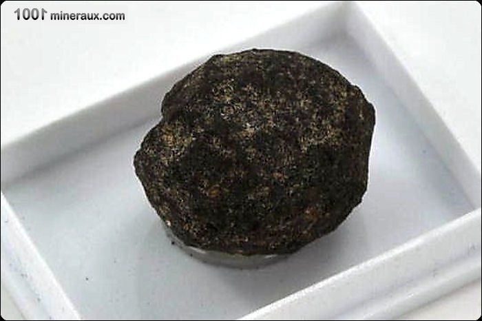 Nodule de Manganèse - USA - Minéraux à cristaux 1,9 cm / 2g / AL91