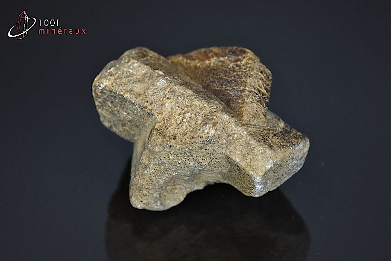 Staurotide - France - Minéraux à cristaux 4 cm / 49g / AN60