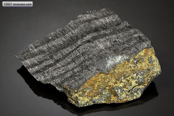 Hypersthène - Canada - minéraux à cristaux 7,6 cm / 215g / AN765
