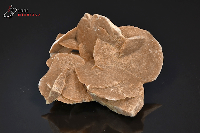 Rose des sables - Maroc - minéraux à cristaux 6,4 cm / 81g / AN901