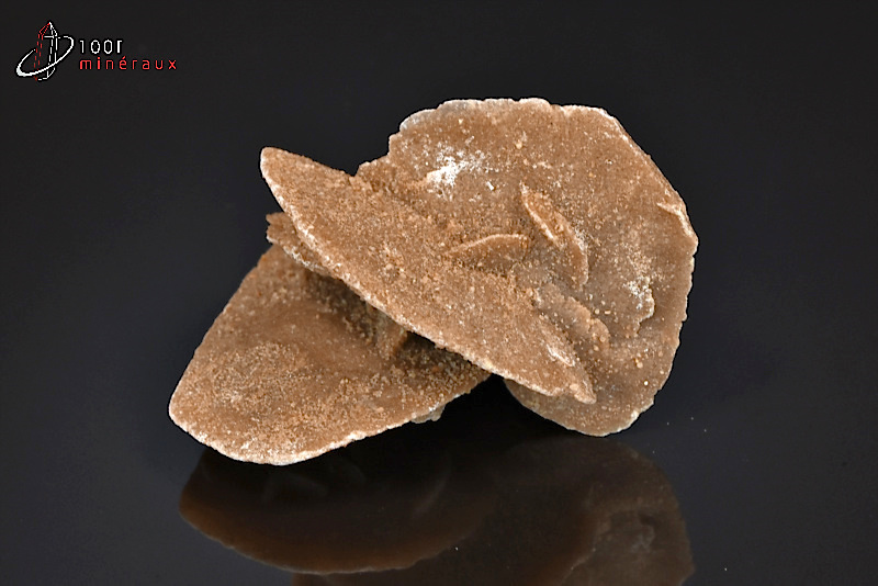 Rose des sables - Maroc - minéraux à cristaux 6,4 cm / 66g / AN902