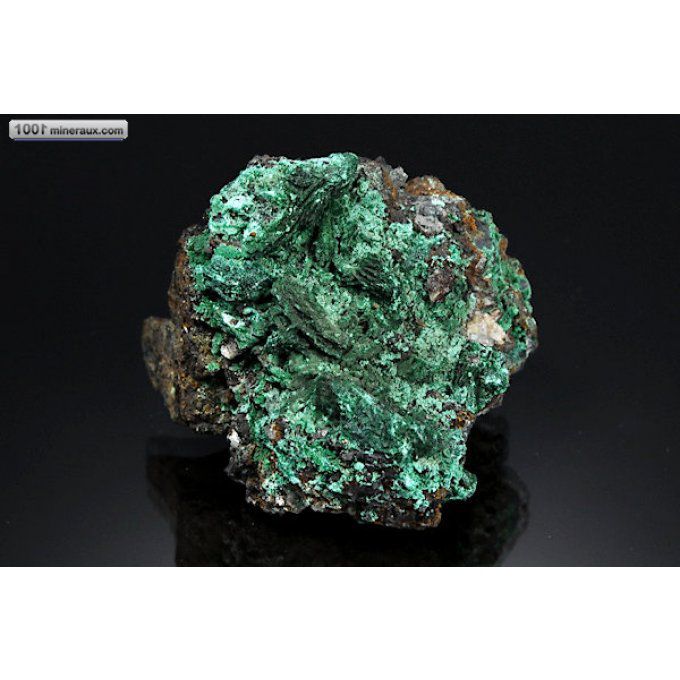 devilline-malachite-chili