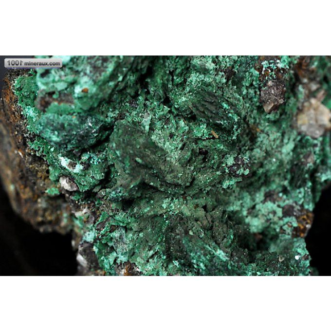 devilline-malachite-chili