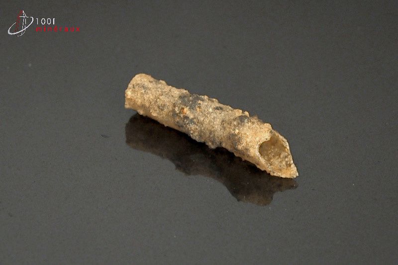 Fulgurite - Maroc - minéraux bruts 2,7cm / 0,3g / AQ940