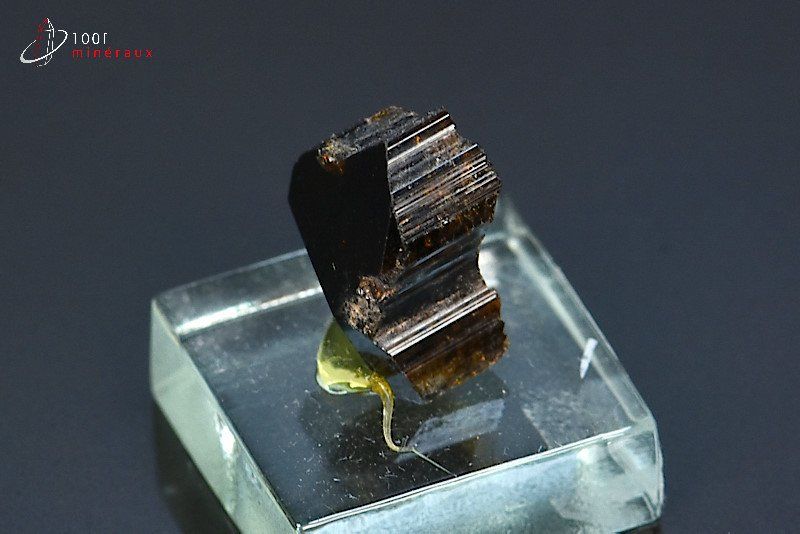 Tourmaline brune ou Dravite - Madagascar - minéraux à cristaux 1,6 cm / 3g / AR260