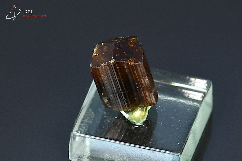 Tourmaline brune ou Dravite - Madagascar - minéraux à cristaux 1,4 cm / 3,4g / AR264