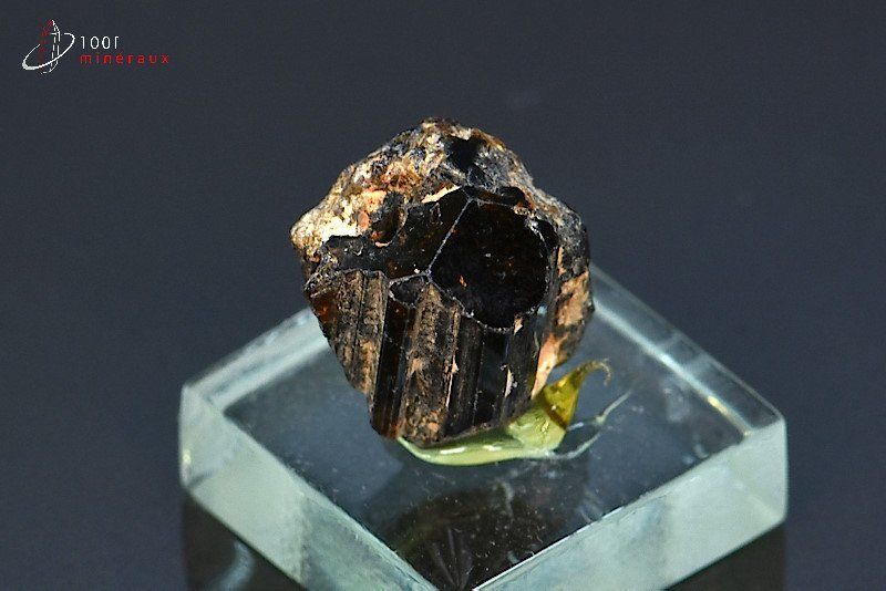 Tourmaline brune ou Dravite - Madagascar - minéraux à cristaux 1,7 cm / 5,3g / AR265