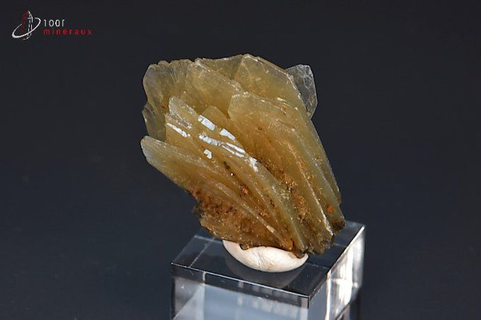 baryte bleue