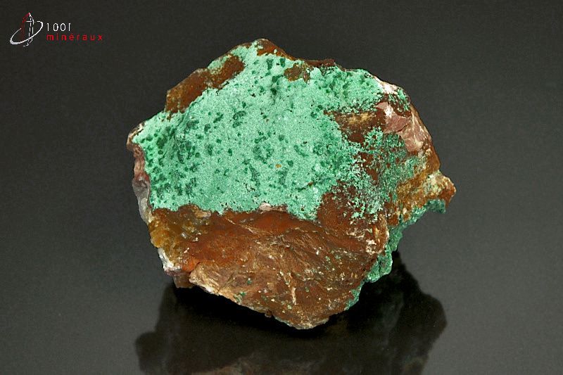 Malachite cristallisée - Maroc - minéraux à cristaux 4,5 cm / 117g / AS161