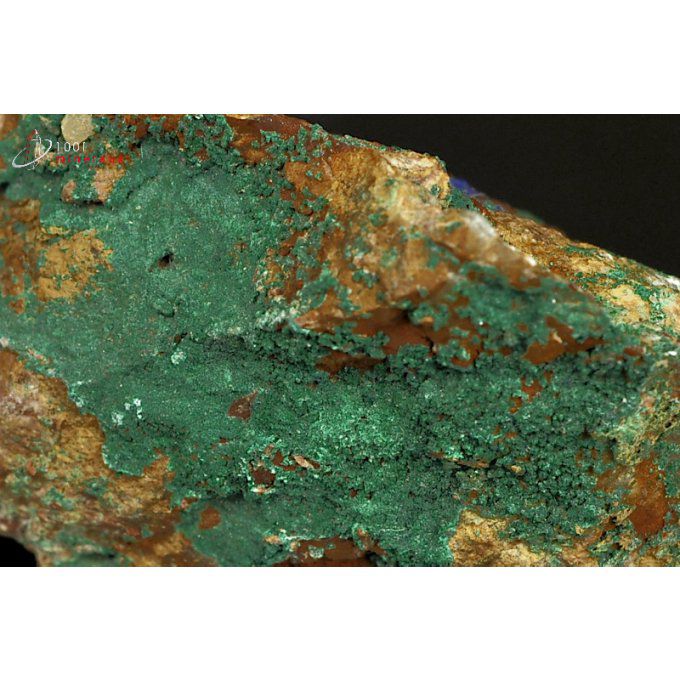 malachite-mineraux-maroc