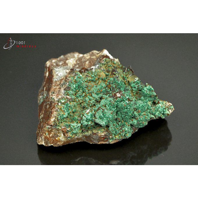 malachite-mineraux-maroc