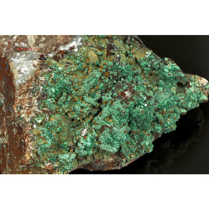 malachite-mineraux-maroc