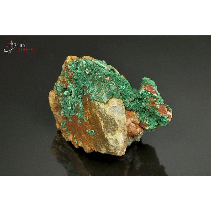 malachite-mineraux-maroc