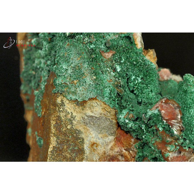 Malachite cristallisée - Maroc - minéraux à cristaux 4,8 cm / 66g / AS184