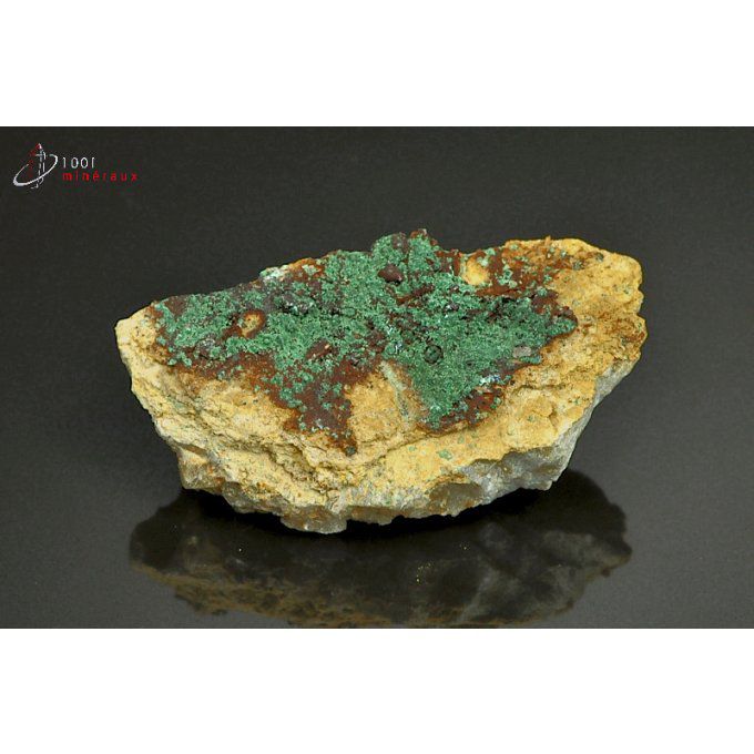 malachite-mineraux-maroc