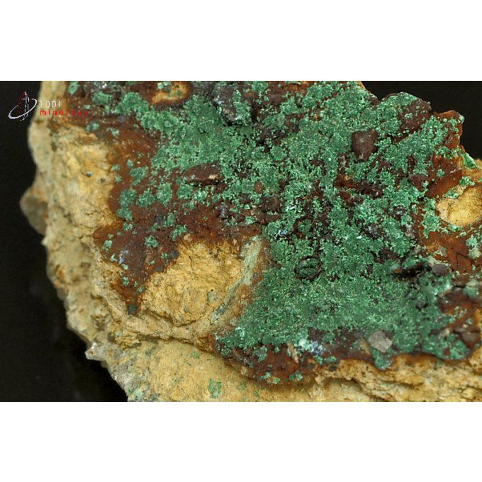 malachite-mineraux-maroc