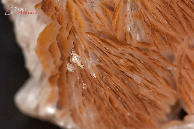 baryte-cristaux-mineraux