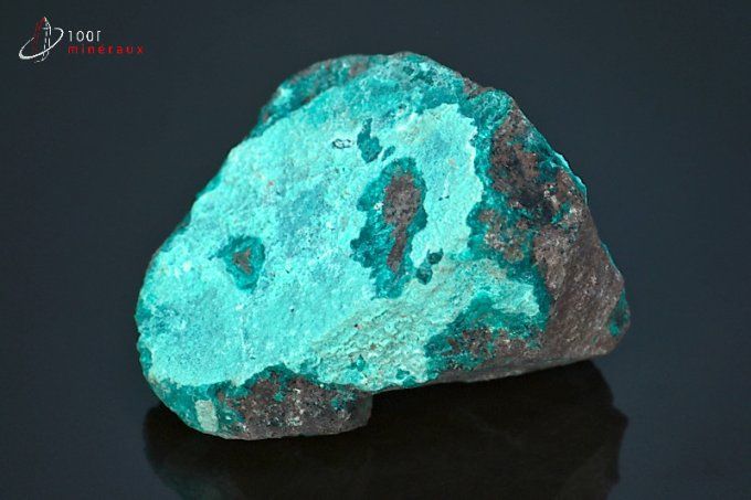 chrysocolle brute