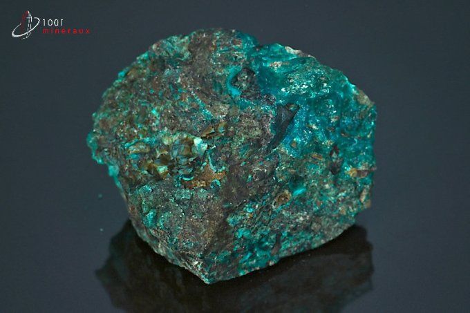 chrysocolle brute