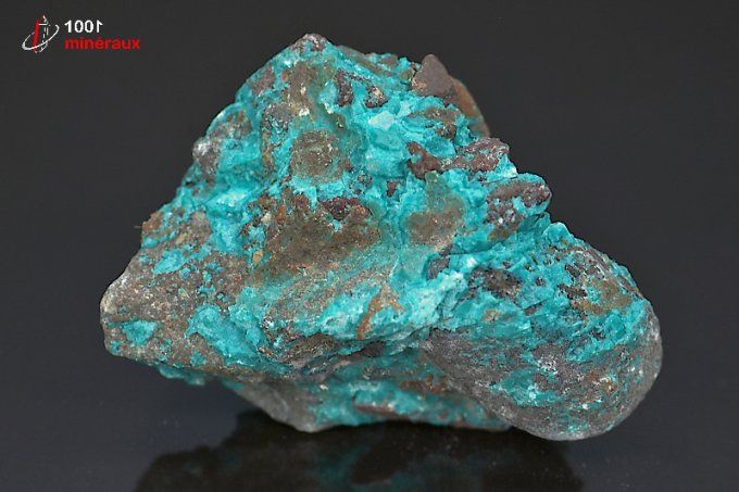 chrysocolle brute