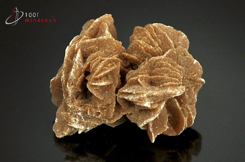 Rose des sables - Maroc - minéraux à cristaux 5,8cm / 71g / AS609