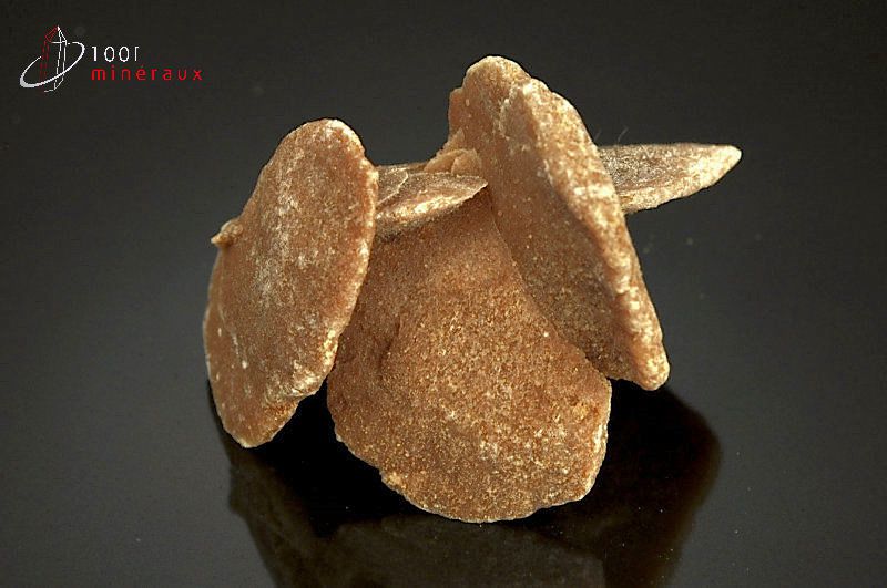 Rose des sables - Maroc - minéraux à cristaux 6,4cm / 65g / AS612