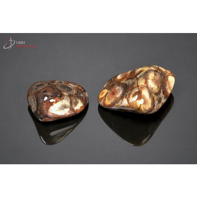 jaspe-bird-eyes-polis-mineraux-bresil